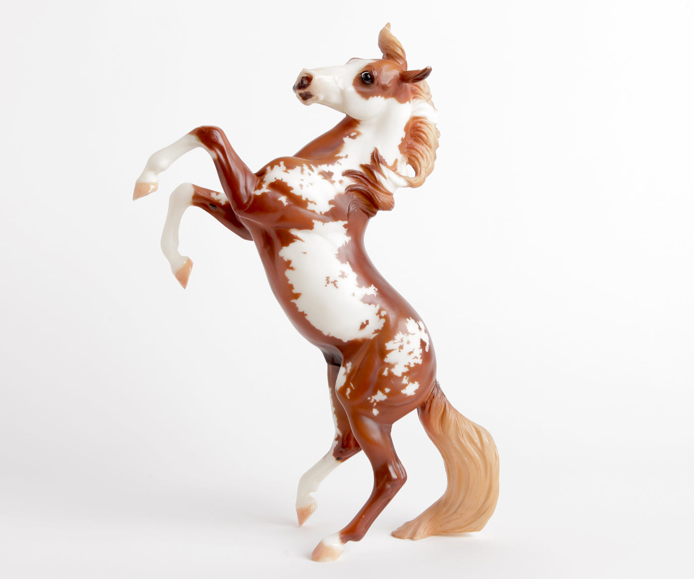 Breyer-Hidalgo popular