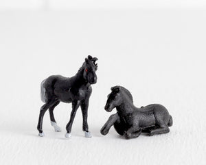 Pair of Miniature Black Foals at Lobster Bisque Vintage