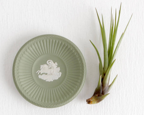 Green Wedgwood Ring Dish with Horses and Chariot Design at Lobster Bisque Vintage