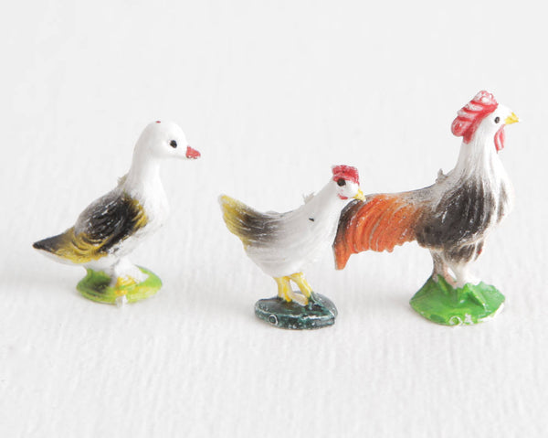 Colorful Chickens and Duck at Lobster Bisque Vintage