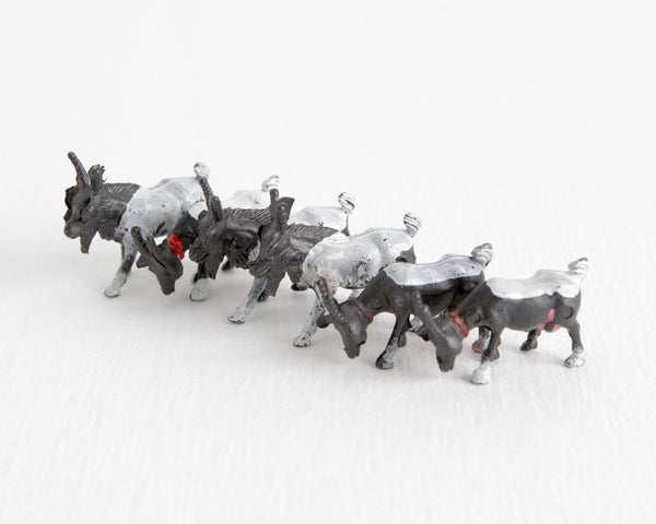 Herd of Six Black and White Goats at Lobster Bisque Vintage