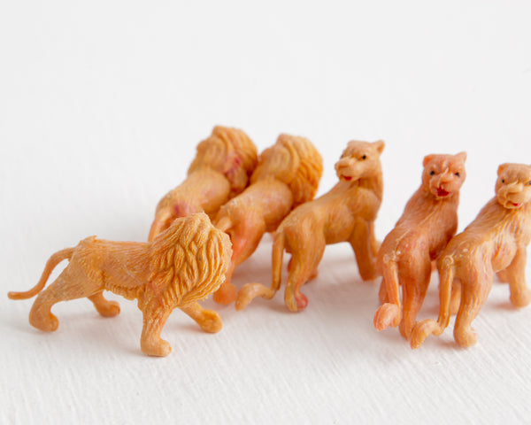 Pride of Six Tiny Lions at Lobster Bisque Vintage