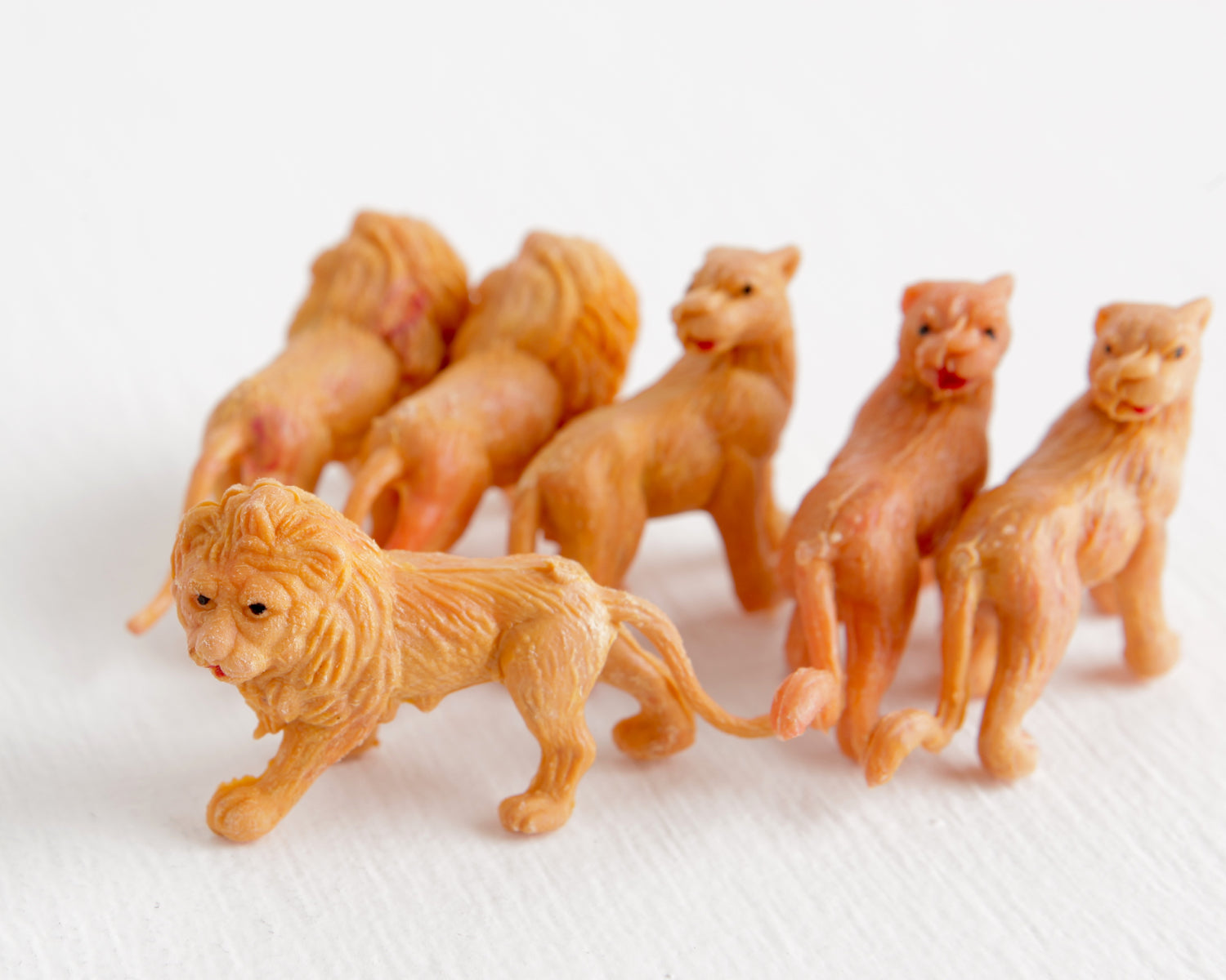 Pride of Six Tiny Lions at Lobster Bisque Vintage